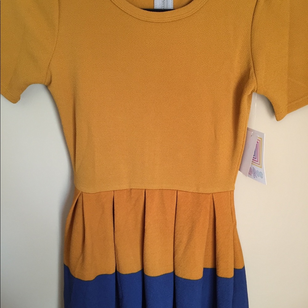 LuLaRoe Amelia Dress
